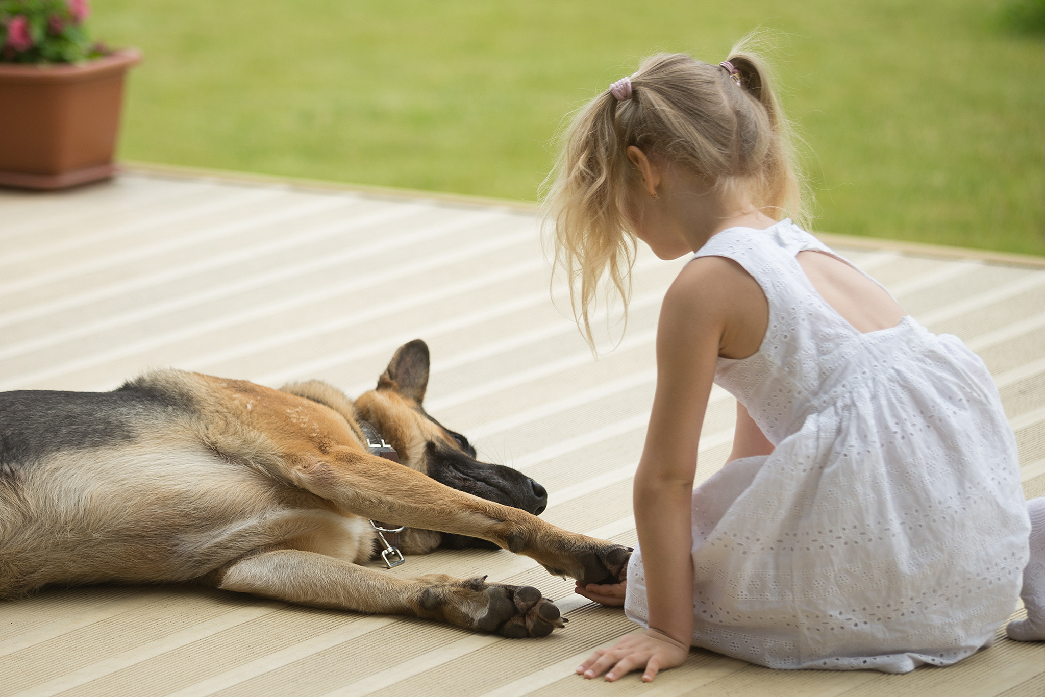 Mädchen mit Hund auf einer Holzterrasse